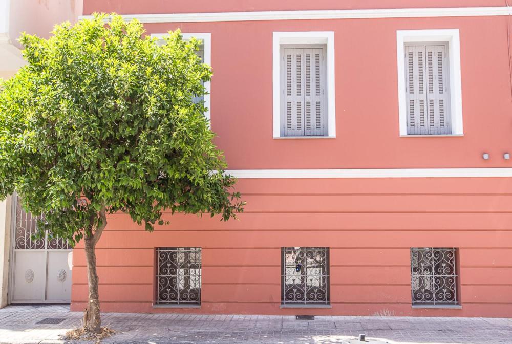 Pink Mango
